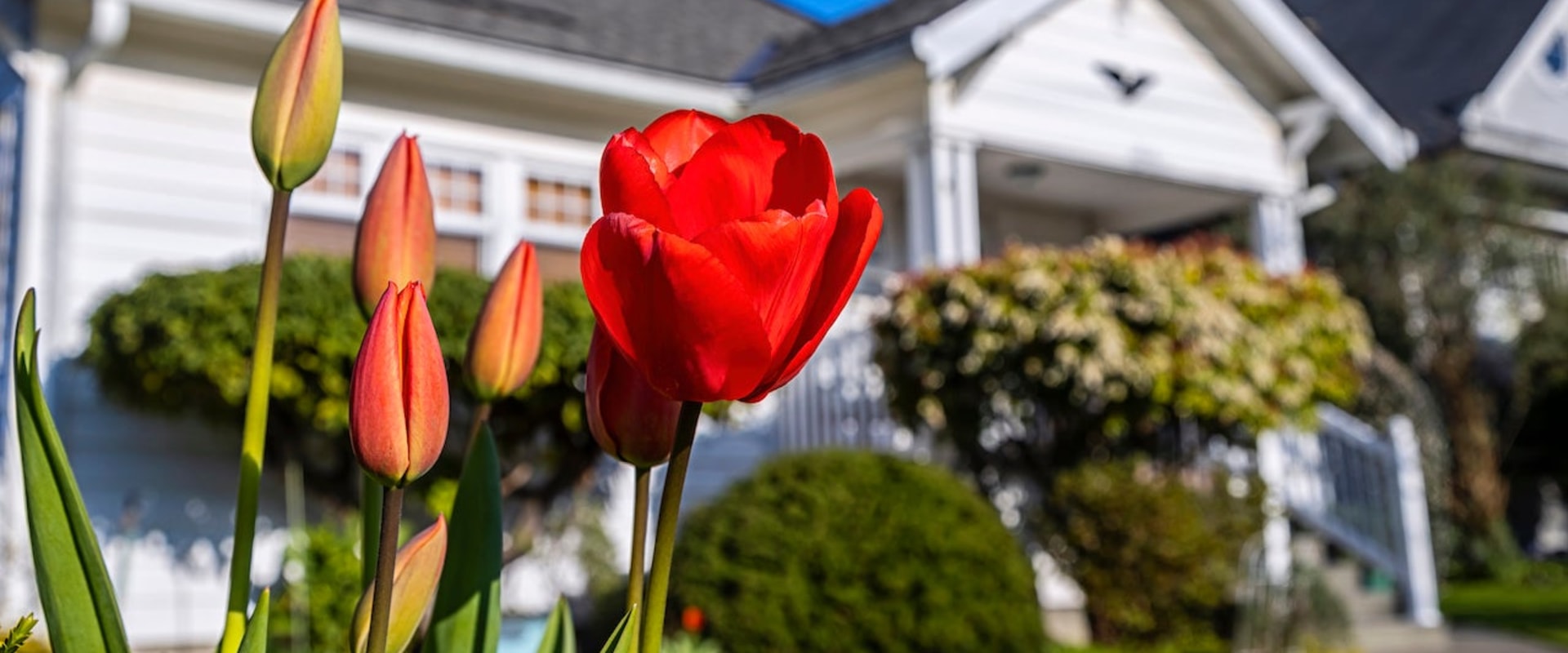 Current Real Estate Market Conditions in North York